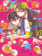 在秋叶原坠入爱河