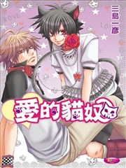 爱的猫奴