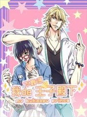 我的不靠谱王子殿下