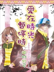 爱在时光暂停时