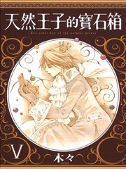 天然王子的宝石箱