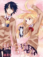 我与小猫，有时和你在一起。