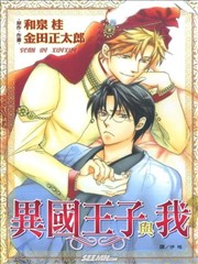 异国王子与我