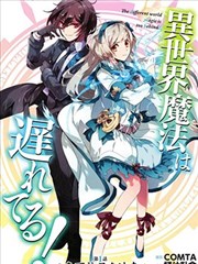 异世界的魔法太落后了