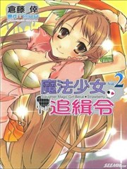 魔法少女追缉令