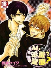 是M？是笨蛋？还是变态？