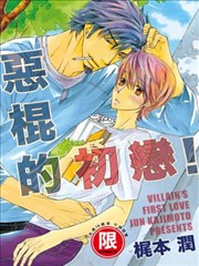 恶棍的初恋！