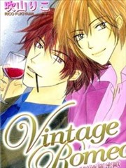 Vintage Romeo醇酒罗密欧