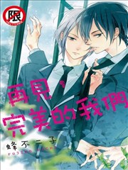 再见，完美的我们