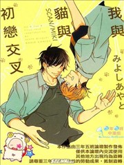 我与猫与初恋交叉