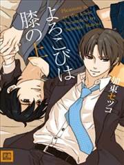 在你膝上的愉悦