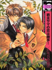 君主先生的爱情随便