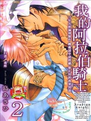 我的阿拉伯騎士