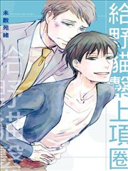 给野猫系上项圈