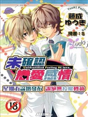 未确认恋爱感情