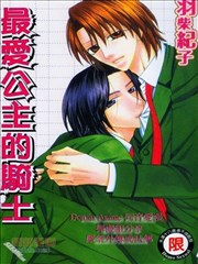 最爱公主的骑士