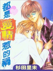 都是爱情惹的祸