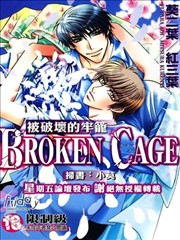 被破坏的牢笼