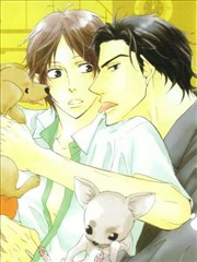 亲吻主人的理由