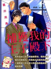 捕获我的王子殿下