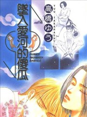 坠入爱河的傻瓜