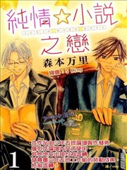 纯情☆小说之恋