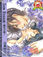 Snow Blossom~雪花之恋~