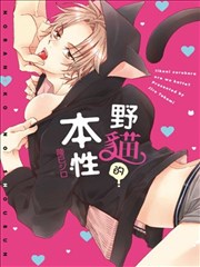 野猫的本性