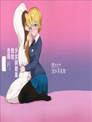 少女与战车抱枕合同