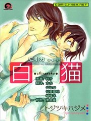 白貓