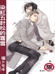 染红五针松的霜雪