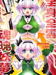 全身全灵 魂魄妖梦