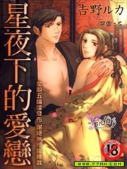 星夜下的爱恋
