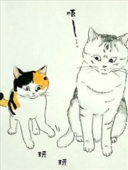 我曾经巨讨厌猫来的