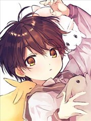 兔兔小屋的小兔