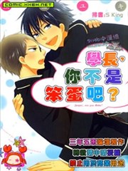 学长,你不是笨蛋吧