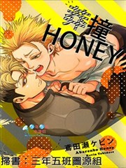 莽撞HONEY