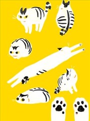 和猫在一起生活的日记