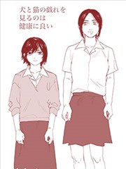 看猫狗嬉戏有益身体健康