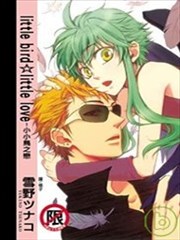 little bird☆little love-小小鸟之恋