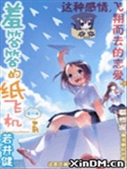 羞答答的纸飞机