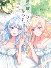 绽放于远方的花的名字