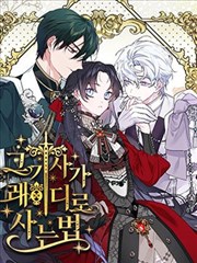 骑士如何过着淑女的生活