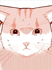 偶像猫猫~变成猫猫被偶像养起来了