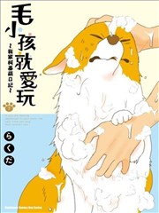 毛小孩就爱玩～我家柯基萌日记