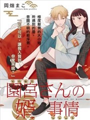 园宫小姐的天降赘婿