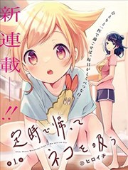 准点下班，然后吸猫