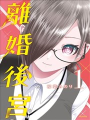 后宫开在离婚时