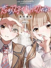 恋爱无法用双子除尽