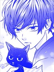 想要驯服黑猫同学